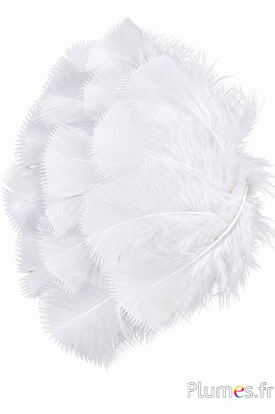 Tacchina - 6-8 cm - bianco